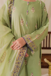 Zarbaagh